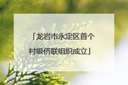 龙岩市永定区首个村级侨联组织成立