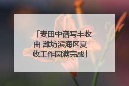麦田中谱写丰收曲 潍坊滨海区夏收工作圆满完成