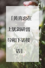 黄喜忠在上犹调研督导和下访接访
