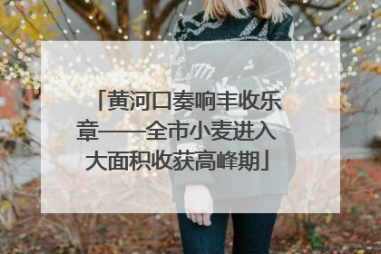 黄河口奏响丰收乐章——全市小麦进入大面积收获高峰期