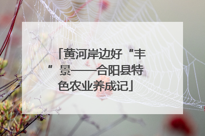 黄河岸边好“丰”景——合阳县特色农业养成记