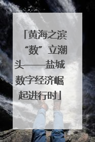黄海之滨“数”立潮头——盐城数字经济崛起进行时