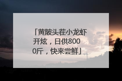 黄陂头茬小龙虾开炫，日供8000斤，快来尝鲜