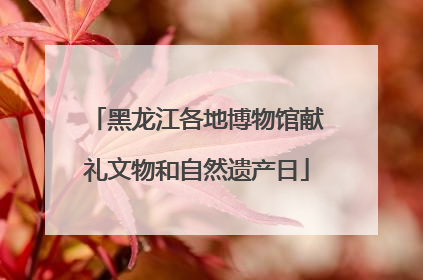 黑龙江各地博物馆献礼文物和自然遗产日
