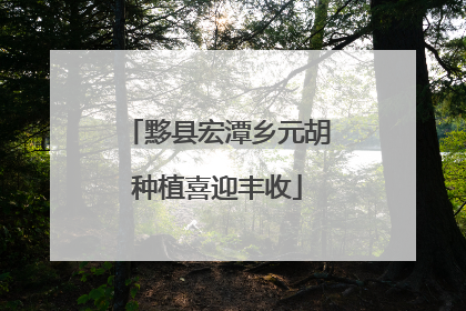 黟县宏潭乡元胡种植喜迎丰收