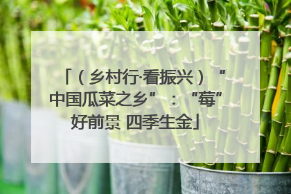 （乡村行·看振兴）“中国瓜菜之乡”：“莓”好前景 四季生金