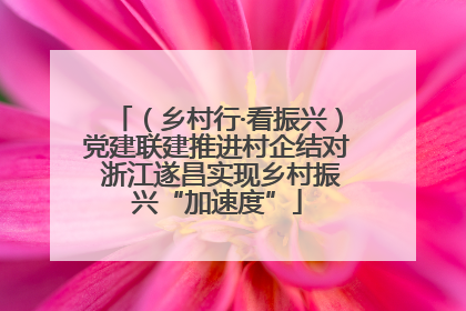 （乡村行·看振兴）党建联建推进村企结对 浙江遂昌实现乡村振兴“加速度”