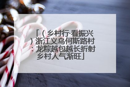 （乡村行·看振兴）浙江义乌何斯路村：龙粽越包越长折射乡村人气渐旺