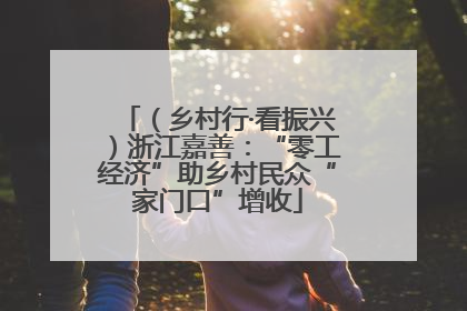 （乡村行·看振兴）浙江嘉善：“零工经济”助乡村民众“家门口”增收