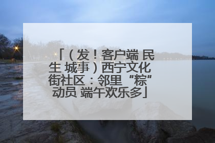 （发！客户端 民生 城事）西宁文化街社区：邻里“粽”动员 端午欢乐多