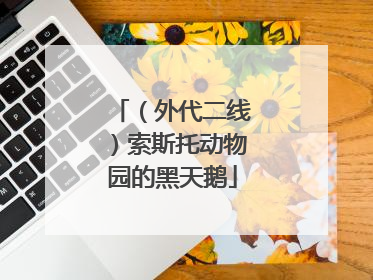 （外代二线）索斯托动物园的黑天鹅