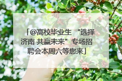 ＠高校毕业生 “选择济南 共赢未来”专场招聘会本周六等您来
