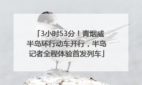 3小时53分！青烟威半岛环行动车开行，半岛记者全程体验首发列车