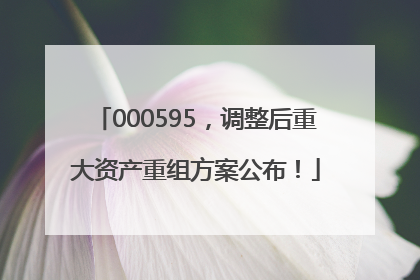 000595，调整后重大资产重组方案公布！