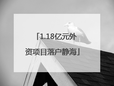 1.18亿元外资项目落户静海