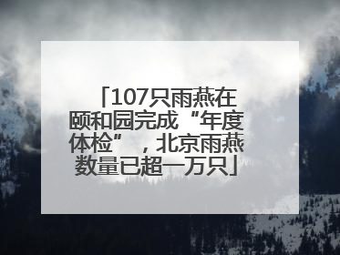 107只雨燕在颐和园完成“年度体检”，北京雨燕数量已超一万只