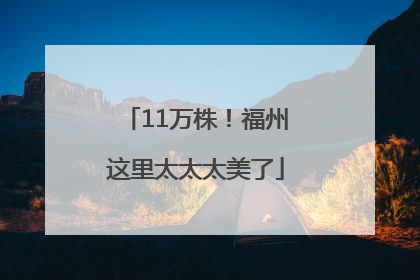 11万株！福州这里太太太美了