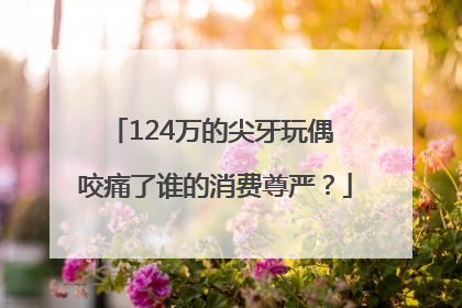 124万的尖牙玩偶 咬痛了谁的消费尊严？