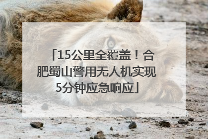 15公里全覆盖！合肥蜀山警用无人机实现5分钟应急响应