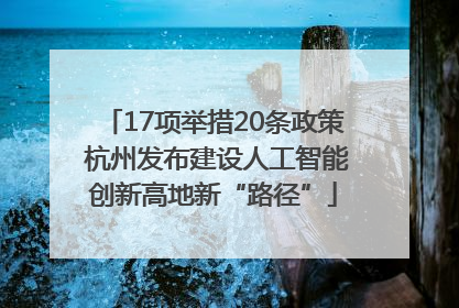 17项举措20条政策 杭州发布建设人工智能创新高地新“路径”