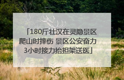 180斤壮汉在灵隐景区爬山时摔伤 景区公安奋力3小时接力抬担架送医