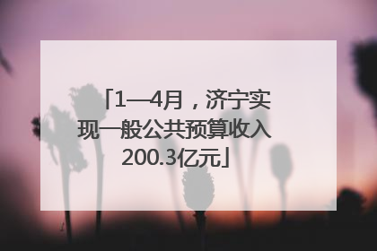 1—4月，济宁实现一般公共预算收入200.3亿元