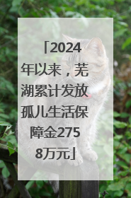 2024年以来，芜湖累计发放孤儿生活保障金2758万元