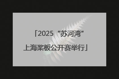 2025“苏河湾”上海桨板公开赛举行