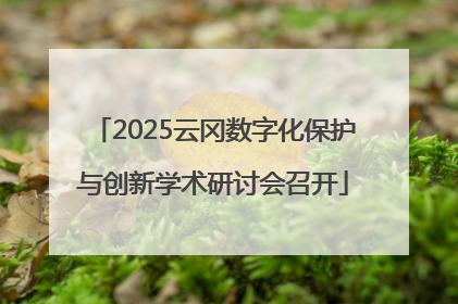 2025云冈数字化保护与创新学术研讨会召开