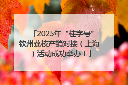 2025年“桂字号”钦州荔枝产销对接（上海）活动成功举办！