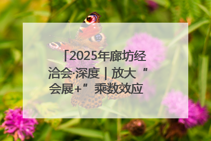 2025年廊坊经洽会·深度｜放大“会展+”乘数效应 打造消费新场景