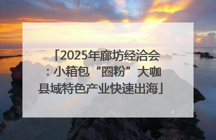 2025年廊坊经洽会：小箱包“圈粉”大咖 县域特色产业快速出海