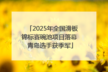 2025年全国滑板锦标赛碗池项目落幕 青岛选手获季军