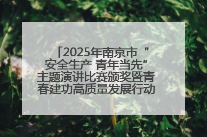 2025年南京市“安全生产 青年当先”主题演讲比赛颁奖暨青春建功高质量发展行动出征仪式举行