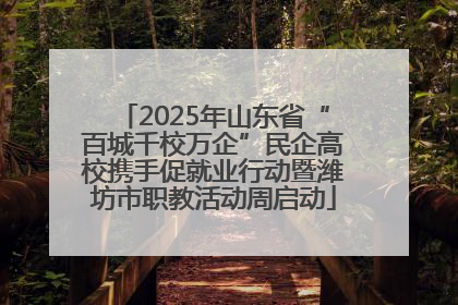 2025年山东省“百城千校万企”民企高校携手促就业行动暨潍坊市职教活动周启动