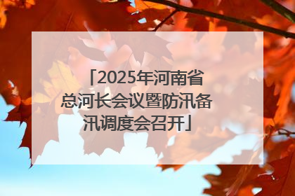2025年河南省总河长会议暨防汛备汛调度会召开