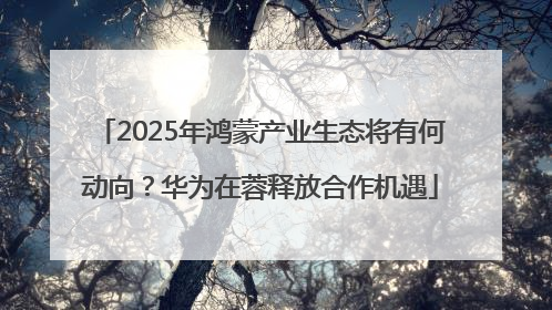 2025年鸿蒙产业生态将有何动向？华为在蓉释放合作机遇