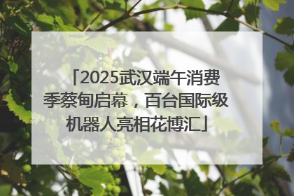 2025武汉端午消费季蔡甸启幕，百台国际级机器人亮相花博汇