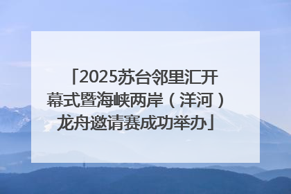2025苏台邻里汇开幕式暨海峡两岸（洋河）龙舟邀请赛成功举办