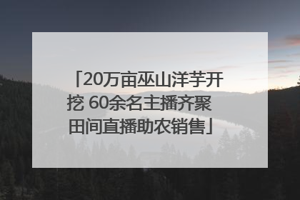 20万亩巫山洋芋开挖 60余名主播齐聚田间直播助农销售