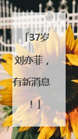 37岁刘亦菲，有新消息！