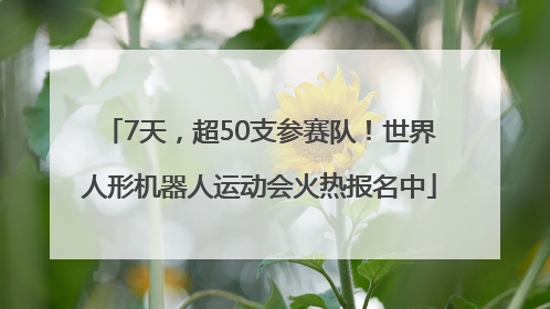 7天，超50支参赛队！世界人形机器人运动会火热报名中