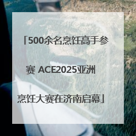 500余名烹饪高手参赛 ACE2025亚洲烹饪大赛在济南启幕