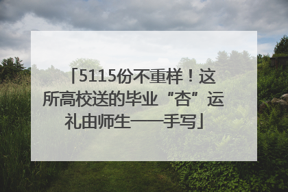 5115份不重样！这所高校送的毕业“杏”运礼由师生一一手写