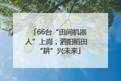 66台“田间机器人”上岗，泗阳稻田“耕”兴未来