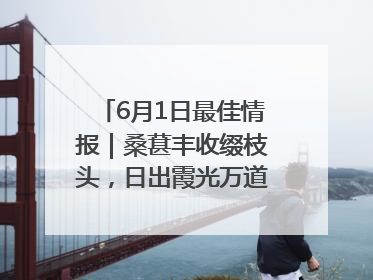 6月1日最佳情报｜桑葚丰收缀枝头，日出霞光万道蓬勃壮观！恭喜