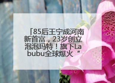 85后王宁成河南新首富，23岁创立泡泡玛特！旗下Labubu全球爆火“一娃难求”