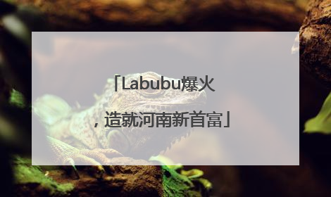 Labubu爆火，造就河南新首富