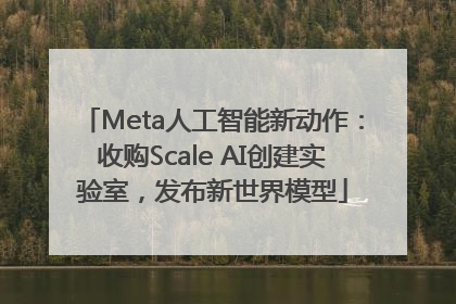 Meta人工智能新动作：收购Scale AI创建实验室，发布新世界模型