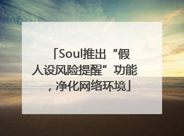 Soul推出“假人设风险提醒”功能，净化网络环境
